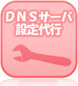 DNSサーバー設定代行