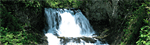 滝