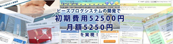 ビーズブログシステムの開発で初期費用52,500円 月額5,250円を実現！